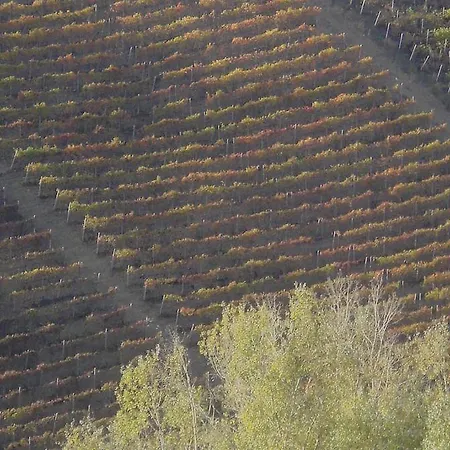 La Taverna Degli Angeli Panzió