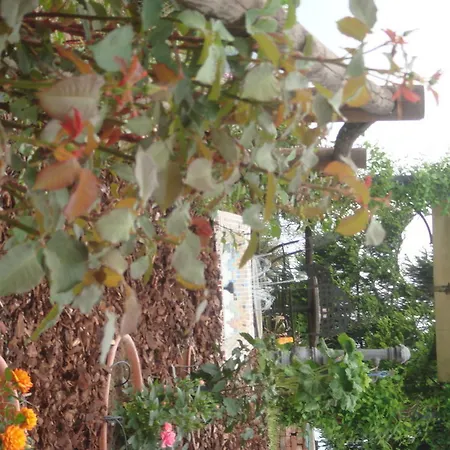 Oda ve Kahvaltı La Taverna Degli Angeli