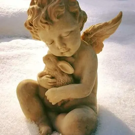 La Taverna Degli Angeli 3*