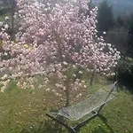 La Taverna Degli Angeli Отель типа 